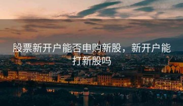 股票新开户能否申购新股，新开户能打新股吗