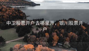 中卫股票开户去哪里开，银川股票开户
