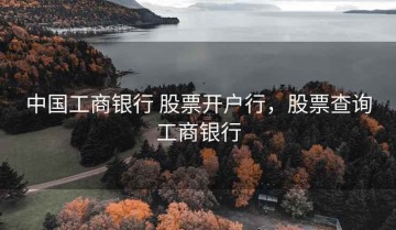 中国工商银行 股票开户行，股票查询工商银行