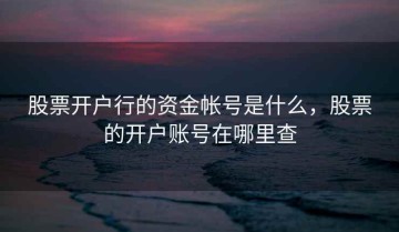 股票开户行的资金帐号是什么，股票的开户账号在哪里查