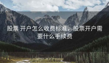 股票 开户怎么收费标准，股票开户需要什么手续费