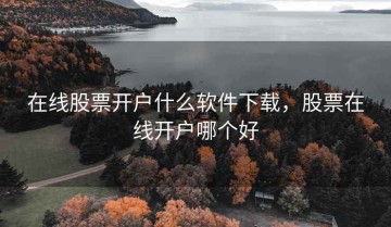 在线股票开户什么软件下载，股票在线开户哪个好