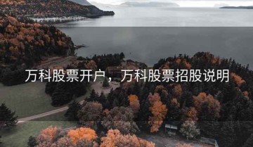 万科股票开户，万科股票招股说明