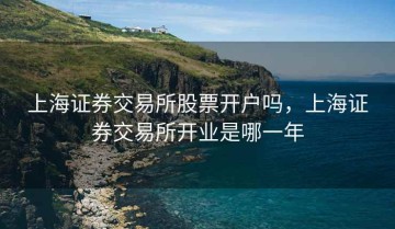 上海证券交易所股票开户吗，上海证券交易所开业是哪一年