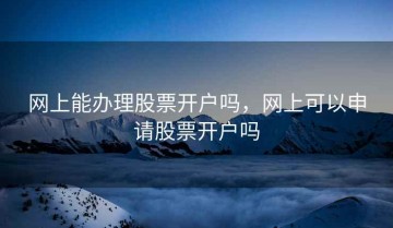 网上能办理股票开户吗，网上可以申请股票开户吗