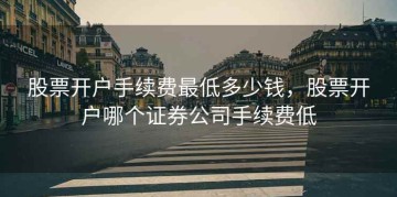 股票开户手续费最低多少钱，股票开户哪个证券公司手续费低