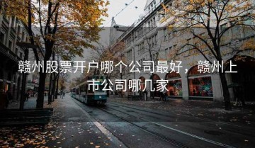 赣州股票开户哪个公司最好，赣州上市公司哪几家