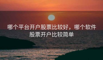 哪个平台开户股票比较好，哪个软件股票开户比较简单