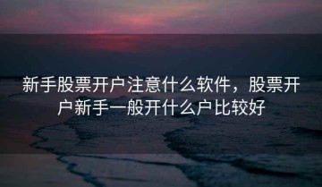 新手股票开户注意什么软件，股票开户新手一般开什么户比较好