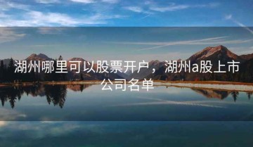 湖州哪里可以股票开户，湖州a股上市公司名单