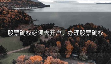 股票确权必须去开户，办理股票确权