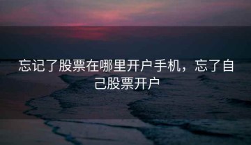 忘记了股票在哪里开户手机，忘了自己股票开户
