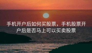 手机开户后如何买股票，手机股票开户后是否马上可以买卖股票
