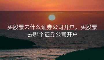 买股票去什么证券公司开户，买股票去哪个证券公司开户