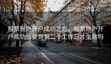 股票账户开户成功之后，股票账户开户成功后要到第二个工作日才生效吗