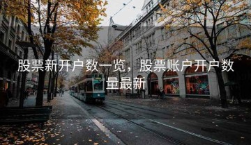 股票新开户数一览，股票账户开户数量最新
