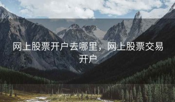 网上股票开户去哪里，网上股票交易开户