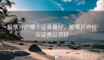 股票开户哪个证券最好，股票开户什么证券公司好