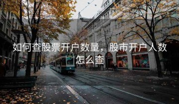 如何查股票开户数量，股市开户人数怎么查