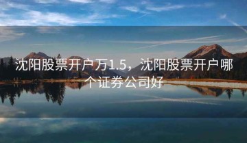 沈阳股票开户万1.5，沈阳股票开户哪个证券公司好