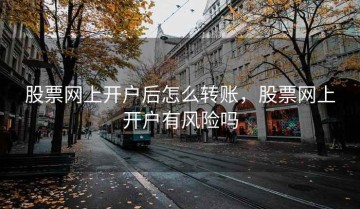 股票网上开户后怎么转账，股票网上开户有风险吗
