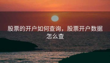 股票的开户如何查询，股票开户数据怎么查