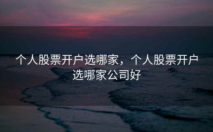 个人股票开户选哪家，个人股票开户选哪家公司好