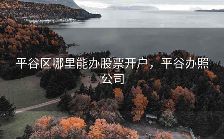 平谷区哪里能办股票开户,平谷办照公司 平谷区哪里能办股票开户,平谷办照公司