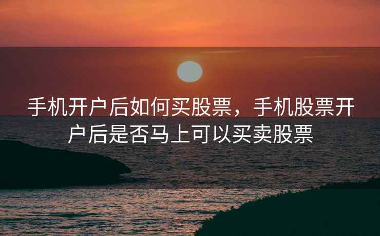 手机开户后如何买股票,手机股票开户后是否马上可以买卖股票 手机开户后如何买股票,手机股票开户后是否马上可以买卖股票