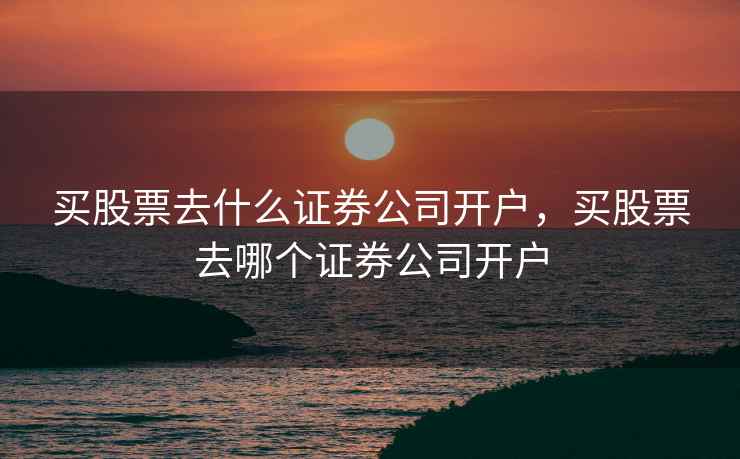 买股票去什么证券公司开户，买股票去哪个证券公司开户