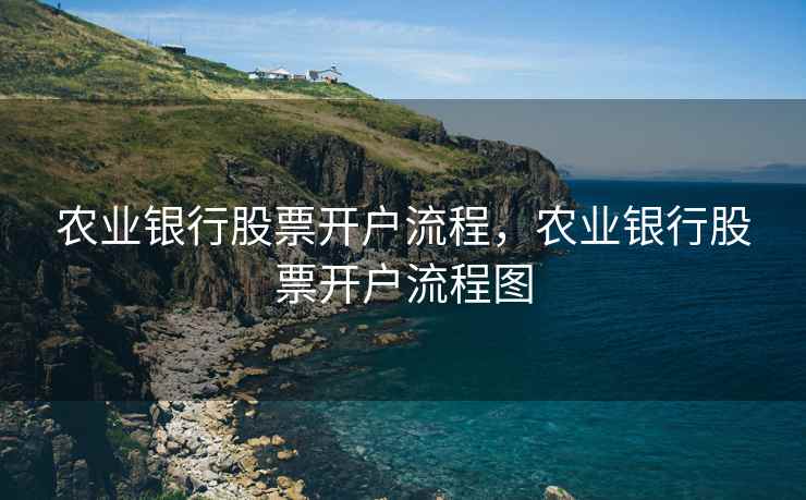农业银行股票开户流程，农业银行股票开户流程图