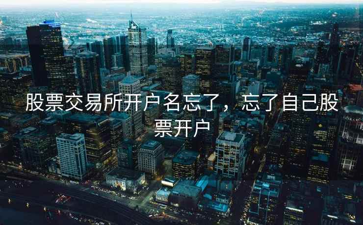 股票交易所开户名忘了，忘了自己股票开户