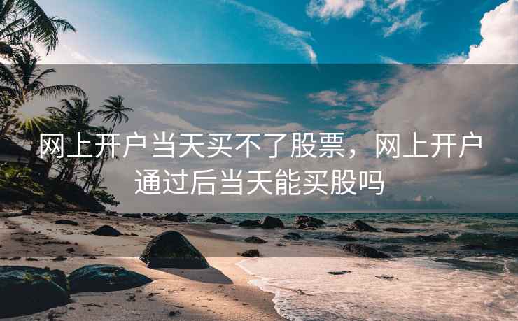 网上开户当天买不了股票，网上开户通过后当天能买股吗