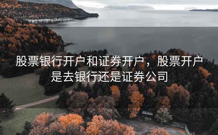 股票银行开户和证券开户，股票开户是去银行还是证券公司