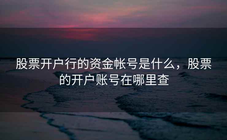 股票开户行的资金帐号是什么，股票的开户账号在哪里查