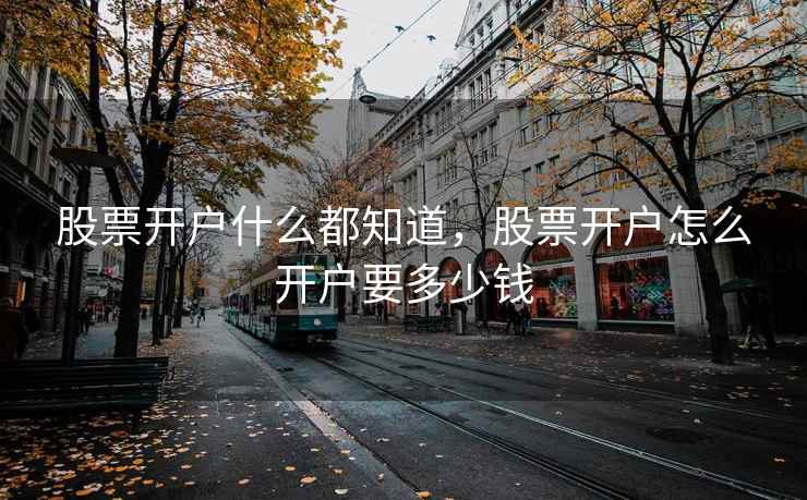 股票开户什么都知道，股票开户怎么开户要多少钱