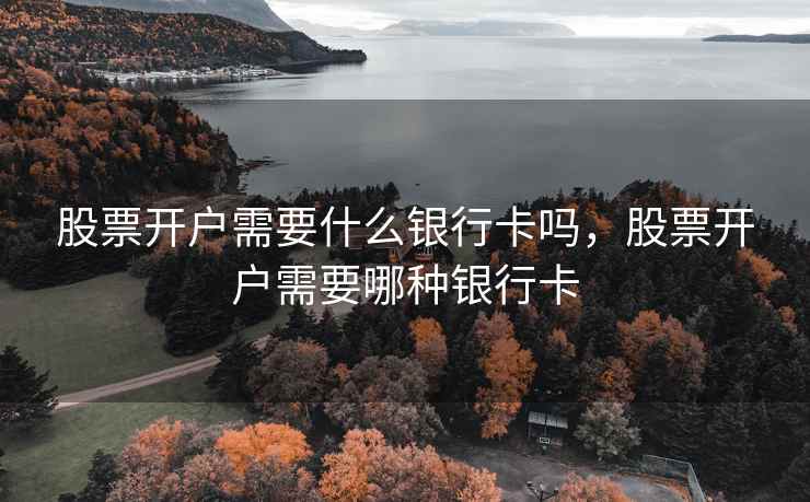 股票开户需要什么银行卡吗，股票开户需要哪种银行卡