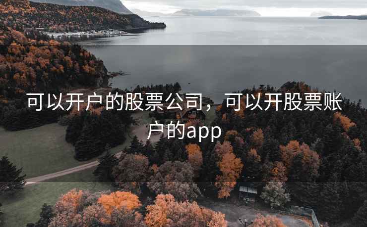可以开户的股票公司，可以开股票账户的app