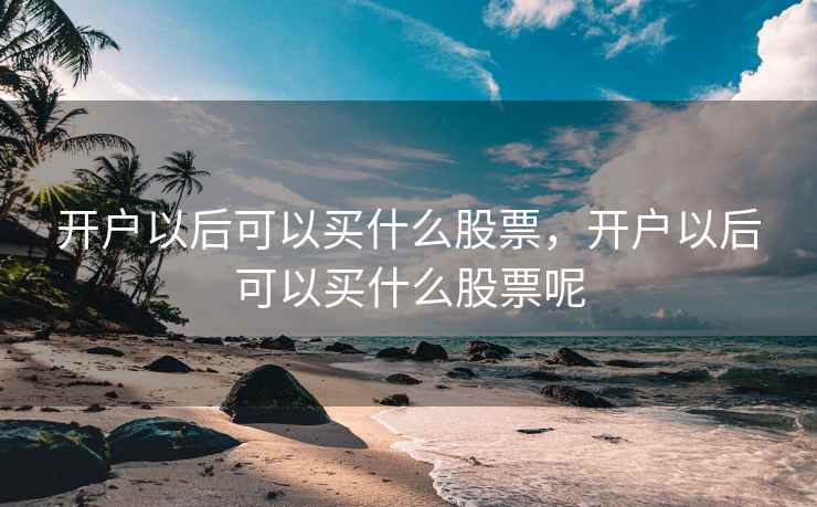 开户以后可以买什么股票,开户以后可以买什么股票呢 开户以后可以买什么股票,开户以后可以买什么股票呢