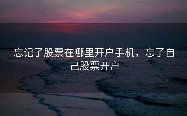 忘记了股票在哪里开户手机，忘了自己股票开户