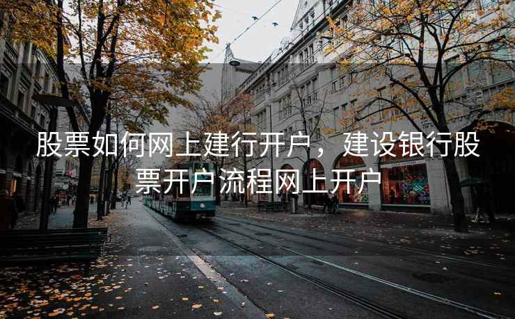 股票如何网上建行开户，建设银行股票开户流程网上开户