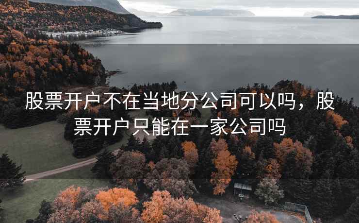 股票开户不在当地分公司可以吗，股票开户只能在一家公司吗