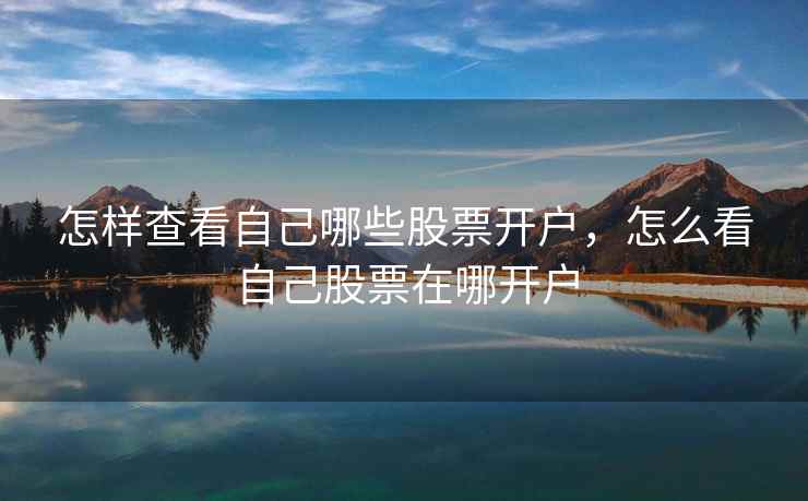 怎样查看自己哪些股票开户，怎么看自己股票在哪开户